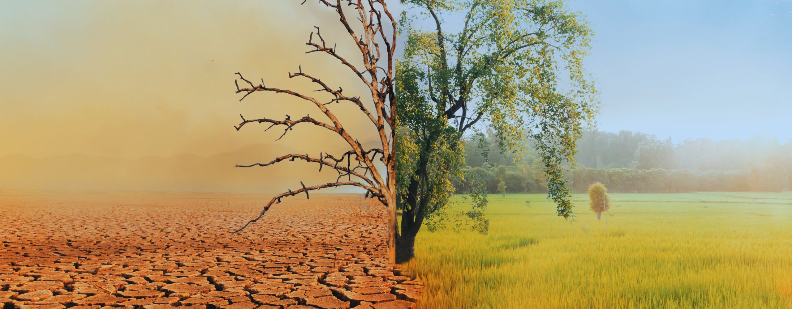 Climate Justice, Led by Those Who Live It